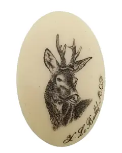 Calotte Pour Fusil Et Carabine Aspect Ivoire Chevreuil-1