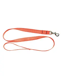 Laisse Sangle Nylon Orange Country Pour Chien