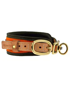 Collier Pour Chien de Sang Orange Fluo Niggeloh-1