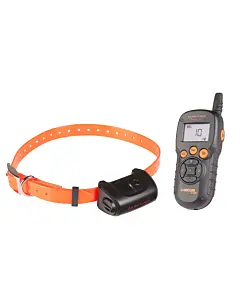 Kit Education Num'Axes Canicom 5.500