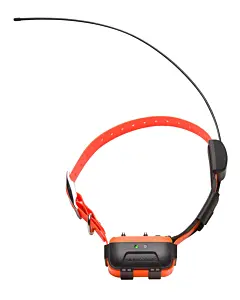 Collier GPS Et Dressage Num'Axes Canicom  2