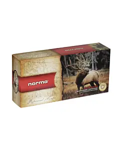 Balles De Chasse Norma Calibre 300Win Pointe Plastique1