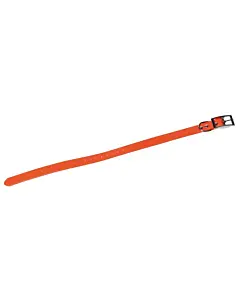 Collier Pour Chien Fluo