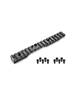 Rail en Acier Carbon 20 MOA pour Carabine Bergara - Action Courte