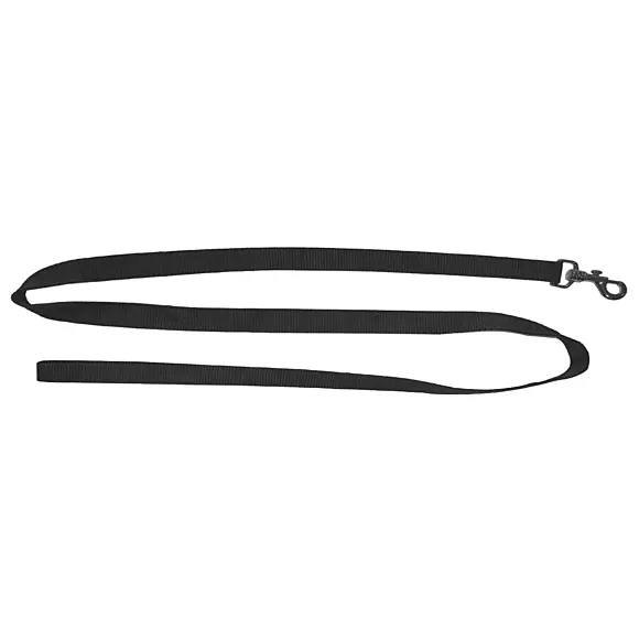 Laisse Sangle Nylon Pour Chiens Noire