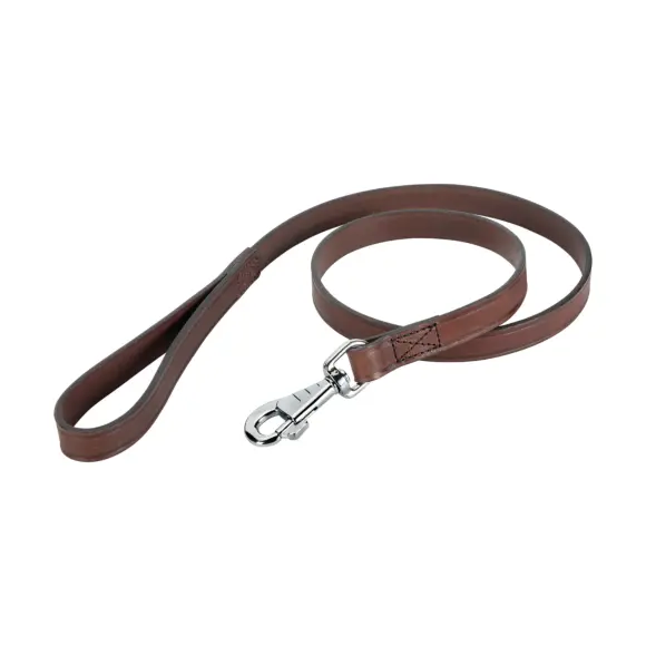 Laisse Cuir Stepland pour Chien 120 Cm Marron