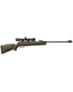 Pack Carabine Gamo Big Cat 1000E 19,90 Joules