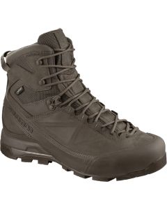 Chaussures Salomon Forces X ALP MTN GTX® Marrons