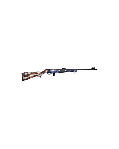 Carabine 22LR Rossi 8122 Tactical-