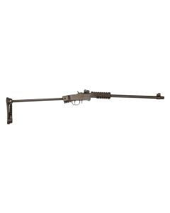 Carabine Chiappa Little Badger 22 LR Xtreme Take Down