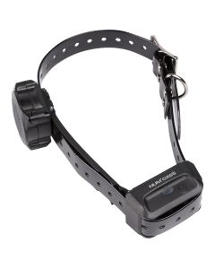 Collier Education Canicom Voice Seul