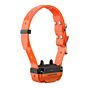 Collier de Dressage Canicom R800 avec Télécommande-3