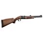 Carabine Fabarm Express Asper A2 Bascule Noire Droitier-6