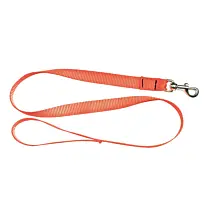 Laisse Sangle Nylon Orange Country Pour Chien