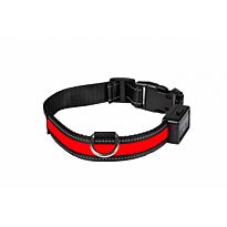 Collier Lumineux Num'Axes Eyenimal Rechargeable