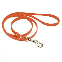 Laisse Biothane Pour Chien Country 1,20 Mètres-1