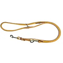 Laisse De Dressage Country En Cuir Pour Chien