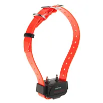 Collier Supplémentaire Num'Axes Orange Pour Télécommandes Canicom -1