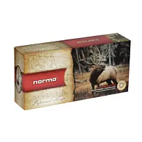 Balles De Chasse Norma Calibre 300Win Pointe Plastique1