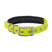 Collier Doublé Stepland 45 Cm pour Chien