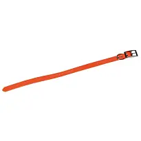 Collier Pour Chien Fluo