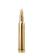 Balles De Chasse Norma Calibre 300Win Pointe Plastique-2