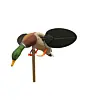 Appelant Canard Colvert Mâle à Aile Tournante Mojo
