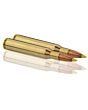 Balles de Chasse Sologne Klassic Calibre 270 Win Nosler Ballistic Tip-5