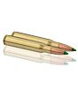 Balles de Chasse Sologne Klassic Calibre 30.06 Nosler BallisticTip