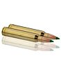Balles de Chasse Sologne Klassic Calibre 300 Win Nosler Ballistic Tip-5