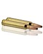 Balles de Chasse Sologne Klassic Calibre 300 Win Nosler Partition-8
