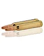 Balles de Chasse Sologne GPA Calibre 300 Win-3
