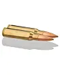 Balles de Chasse Sologne Subsonique Calibre 308 Win-2