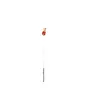Cordon de Nettoyage Real Avid pour Carabines -6