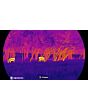 Monoculaire Thermique HIKmicro Lynx LH25 3.0 image 2