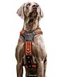 Harnais Pour Chien Niggeloh Orange-2