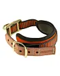 Collier Pour Chien de Sang Orange Fluo Niggeloh-4