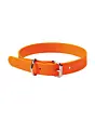 Collier Renforcé Stepland 45 Cm pour Chien-ORANGE