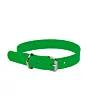 Collier Renforcé Stepland 45 Cm pour Chien-VERT