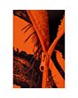 Sweat Capuche Zippé Camouflage Orange Treeland 3