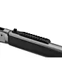 Carabine Chiappa 1886 Lever Action Ridge Runner Hard Chrome Calibre 45.70-6