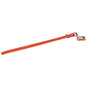 Collier Pour Chien En Biothane Mat Orange Petit Chien