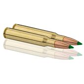 Balles de Chasse Sologne Klassic Calibre 30.06 Nosler BallisticTip