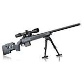BCSP100-1