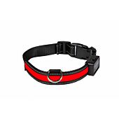Collier Lumineux Num'Axes Eyenimal Rechargeable