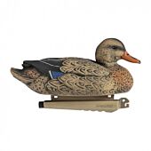 Pack Canard Femelle Colvert Ultra HD Moussé Decoys