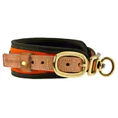 Collier Pour Chien de Sang Orange Fluo Niggeloh-1