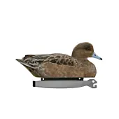 Pack Canard Femelle Siffleur Ultra HD Moussé Decoys