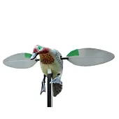 Appelant Mâle Sarcelle Hiver Rotor Stepland Ailes Rotatives Electriques 