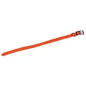 Collier Pour Chien Fluo